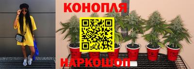 PSILOCYBIN Лесосибирск