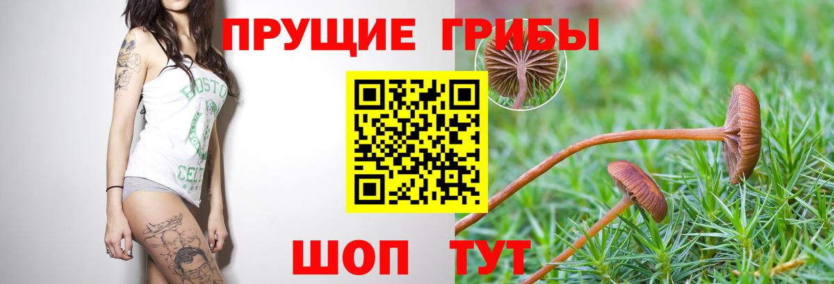 Псилоцибиновые грибы Magic Shrooms  Вход с VPN  Торжок 