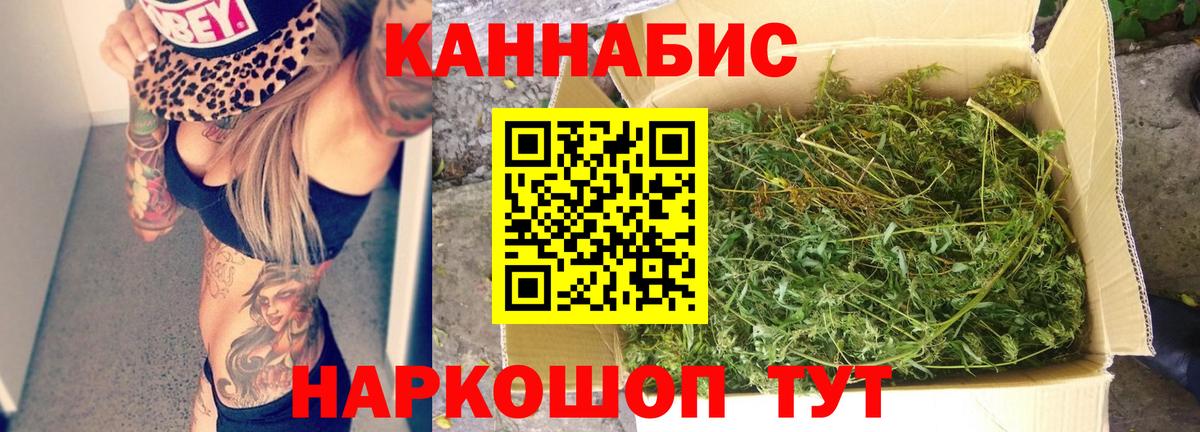 Бошки Шишки семена  Вход с VPN  Канабис THC 21%  Торжок 
