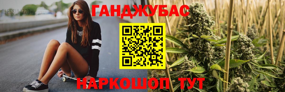 Каннабис сатива Торжок